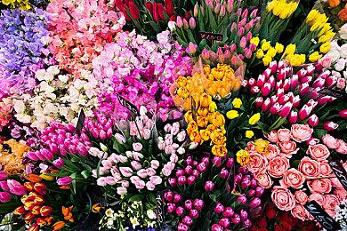 三上真司和神谷英树将举行联合演讲 分享未来计划