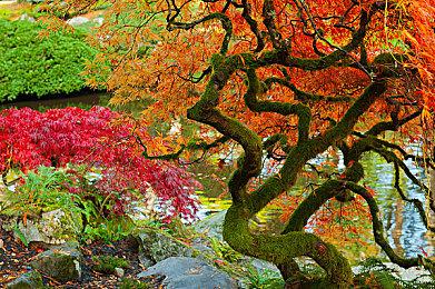 “喜加一”周报（10.3-10.9）：《辐射3》捡垃圾启动